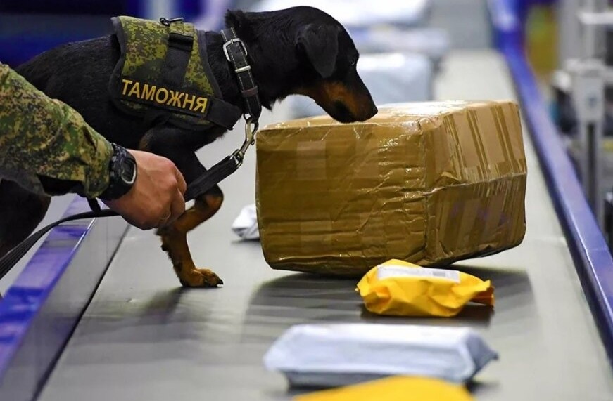 таможня